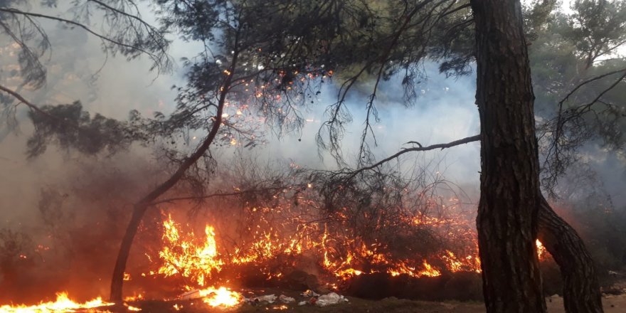 Balıkesir’de orman yangını zamanında müdahale ile kısa sürede söndürüldü