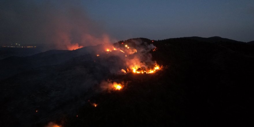 Bilecik’te orman yangını 12 saatin ardından kontrol altına alındı