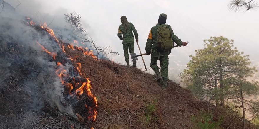 Meksika’da 71 orman yangınıyla zorlu mücadele devam ediyor