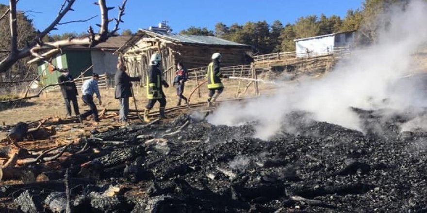 Köyde çıkan yangında 60 arı kovanı kül oldu