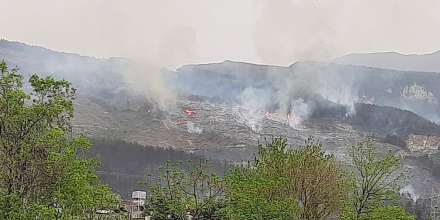 Hatay'da orman yangını iki noktada devam ediyor