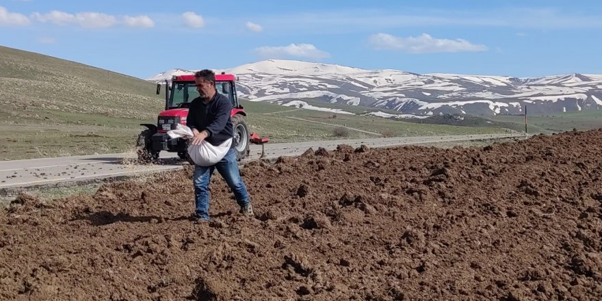 Bahar geldi tohum toprak ile buluştu