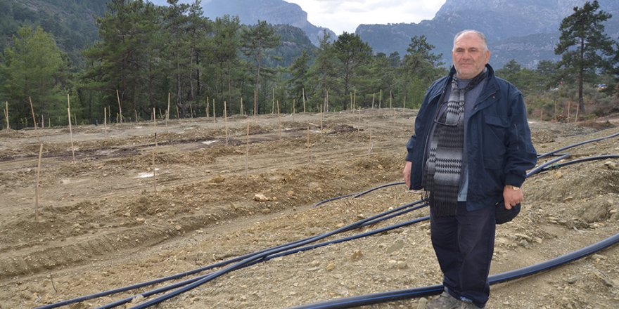 Herkes köyden kente giderken o Almanya'dan köyüne döndü