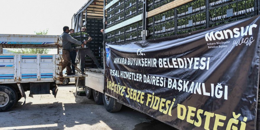 Ankara Büyükşehir'den üreticilere sebze fidesi desteği