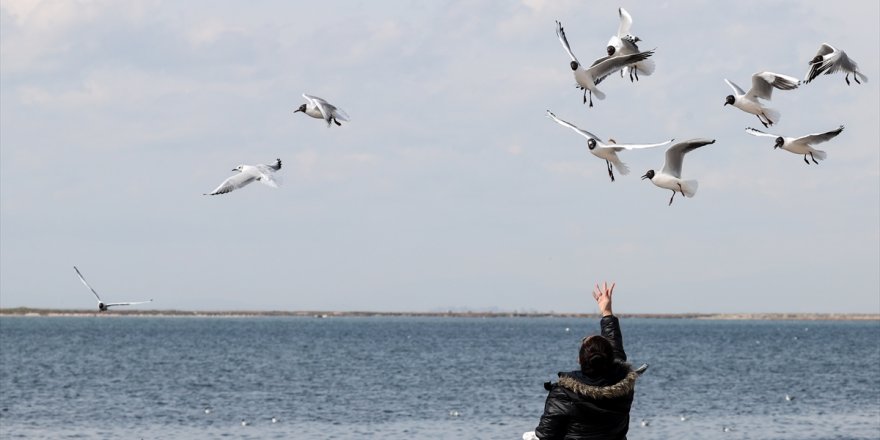 İzmirliler kısıtlamanın kalktığı ilk cumarteside sahillerde yoğunluk gözlendi