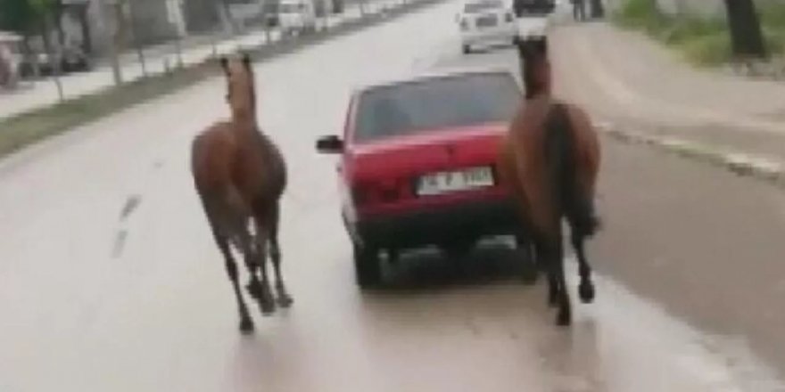 Atları otomobiline bağlayıp çeken ehliyetsiz sürücüye 8 bin 132 TL ceza