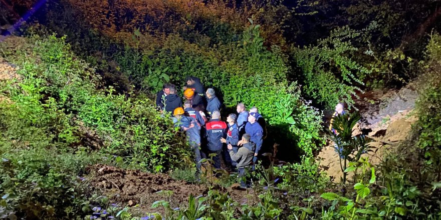 Pikap 50 metreden şarampole uçtu: 2 yaralı