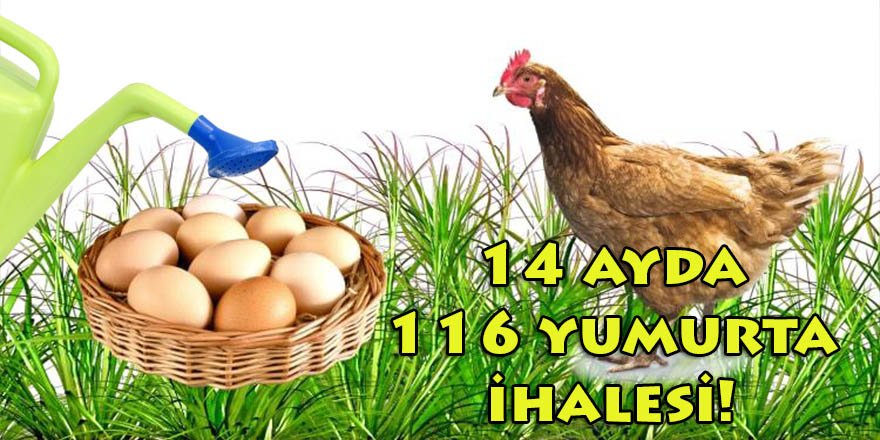 Tire Karateke Sulama Kooperatifi, 14 ayda 116 yumurta ihalesine imza attı!