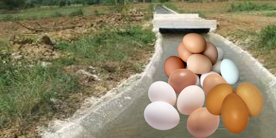 Karataş, Büyükşehir'in kooperatif ihalelerinde 'TT' olan Sulama kooperatifinin yumurtalarını yazdı!