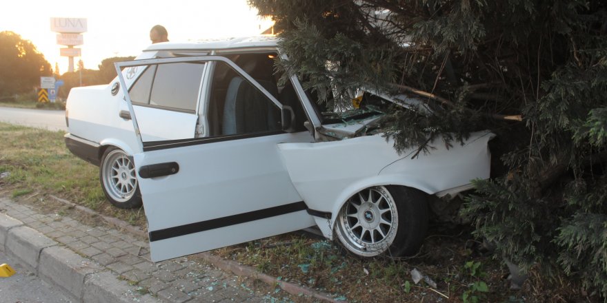 Manisa’da otomobil refüjdeki ağaca çarptı: 1 ölü, 1 ağır yaralı