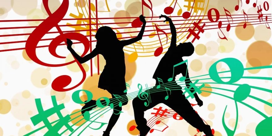 Türkiye Barolar Birliği'nden müzik yasağının iptali için Danıştay'a başvuru