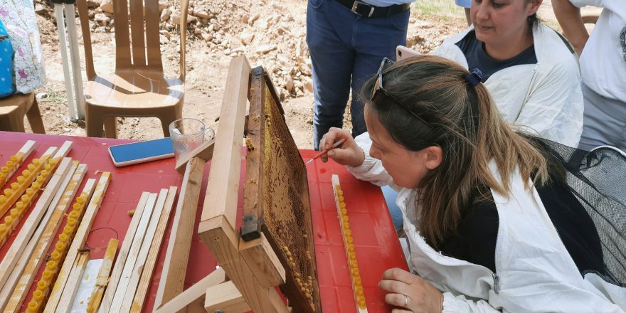 Büyükşehir’den, Dünya Arı Günü etkinliği