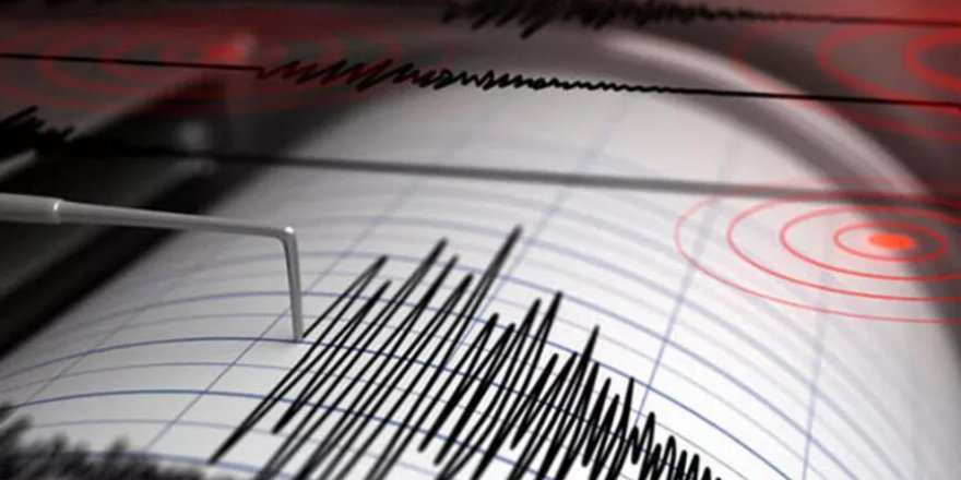 Muradiye'de 4.5 büyüklüğünde deprem meydana geldi