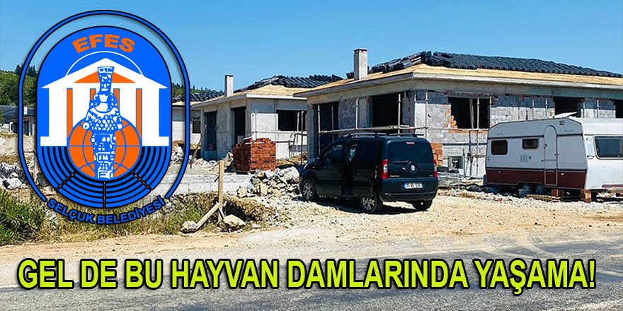 CHP'li Selçuk belediyesi, Çamlık köyünde yapılan villa tarzı 'Hayvan Damları'na kestiği ruhsatla dikkat çekti!