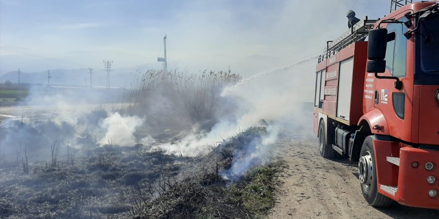 Manisa'da çıkan yangında 10 köpek yavrusu telef oldu