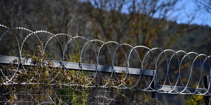 Fethiye'de hayvanlara zarar verdiği için bahçelere 'jiletli tel' çekilmesi yasaklandı