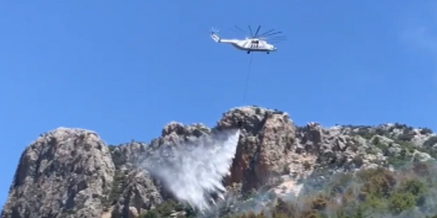 Antalya'da çıkan orman yangınına havadan ve karadan müdahale ediliyor