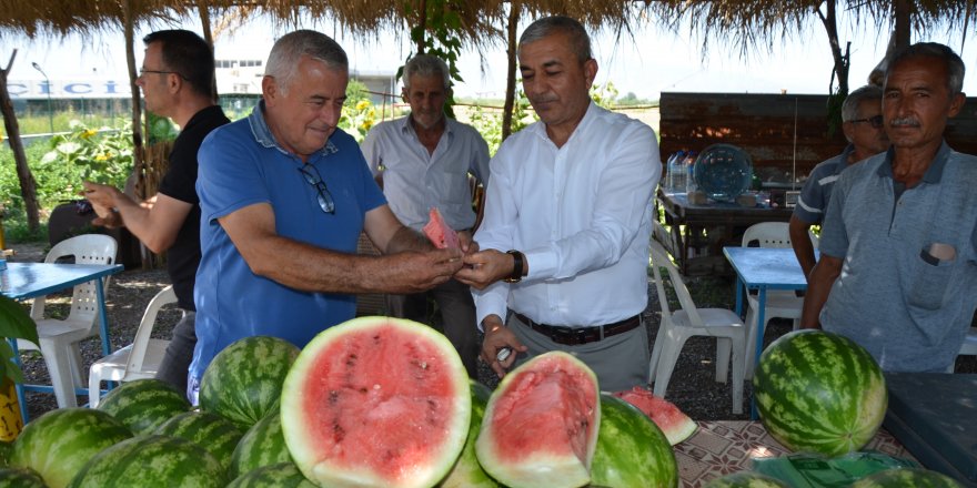 Cincin Karpuzu, tezgahlarda ki yerini aldı