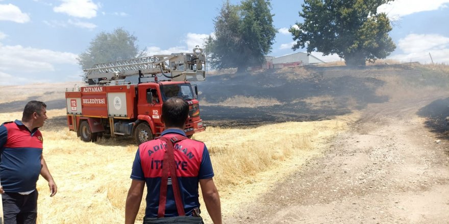 Anız yangınında ağaçlar zarar gördü