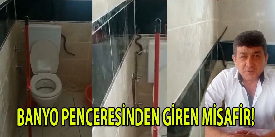 Yüzünü yıkamak istedi, banyosunda yılanla karşılaştı