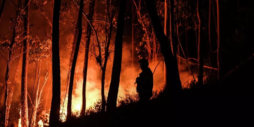 Portekiz'de ormanlar yanıyor: 29 yaralı