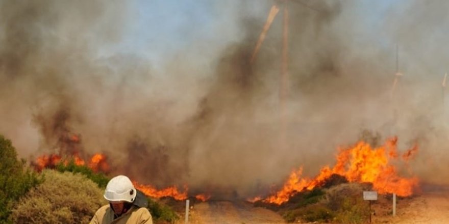 Çeşme'deki yangının sebebi belli oldu