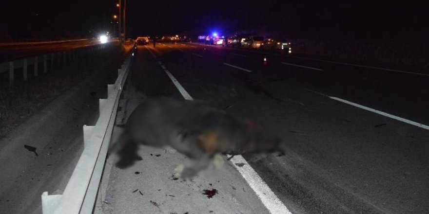 Taksi iki mandaya çarptı: 1 ölü, 2 yaralı