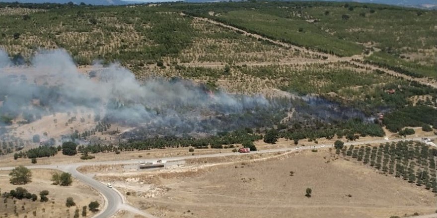 İzmir'de ziraat arazisindeki yangın kontrol altında