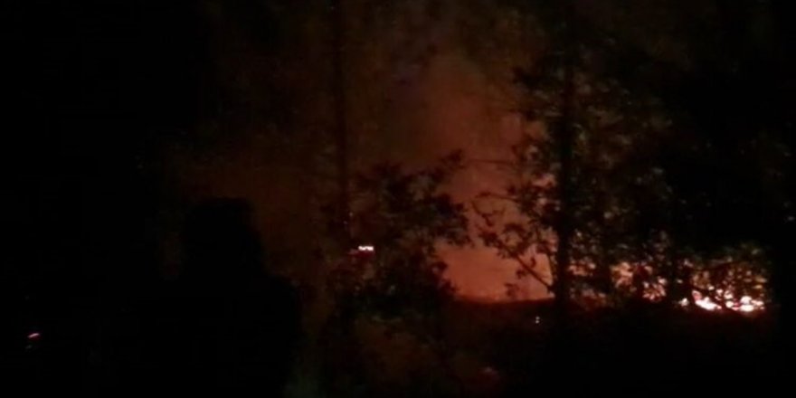 Banaz'daki orman yangını kontrol altına alındı
