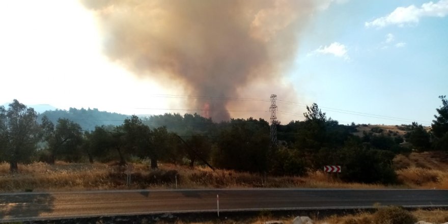 İzmir’de ziraat arazisinde çıkan yangın kontrol altına alındı