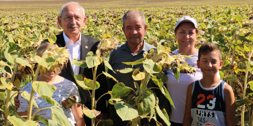 Kılıçdaroğlu: Ayçiçeği taban fiyatı ton başına 16 bin lira olmalı