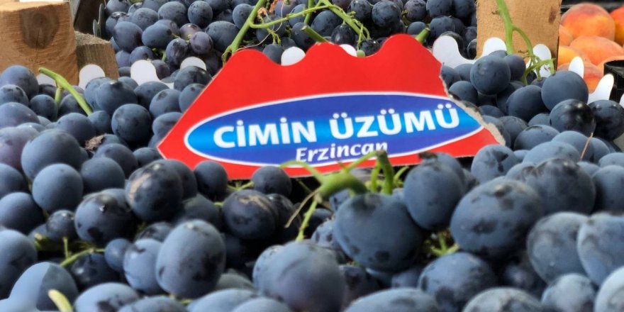 Cimin üzümü tezgahtaki yerini almaya başladı