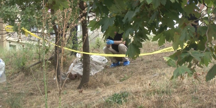 Pendik’te şüpheli ölüm: Ağaçta asılı bulundu