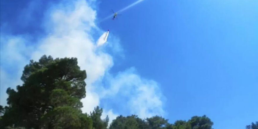 Kaş'ta orman yangını: Havadan ve karadan müdahale ediliyor