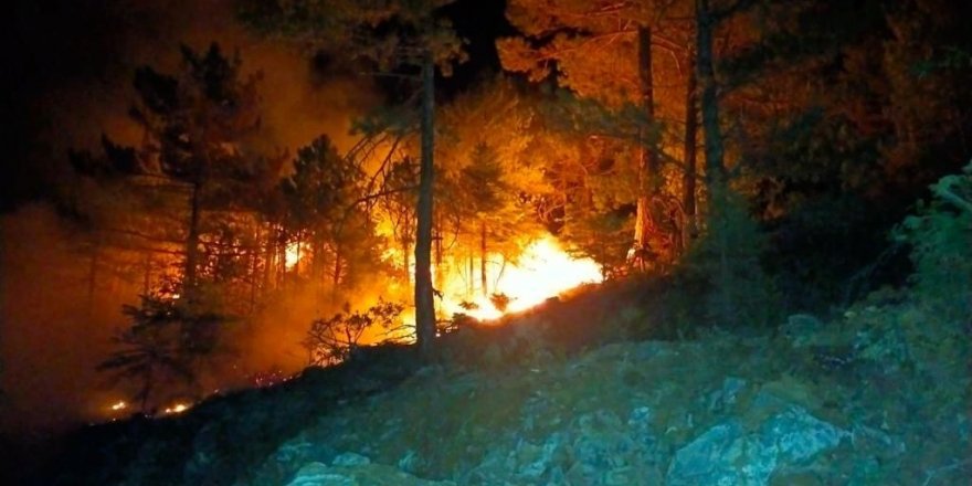 Konya’da ormanlık alanda çıkan yangın söndürüldü