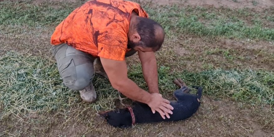 Nefessiz kalan köpeğini kalp masajıyla hayata döndürdü