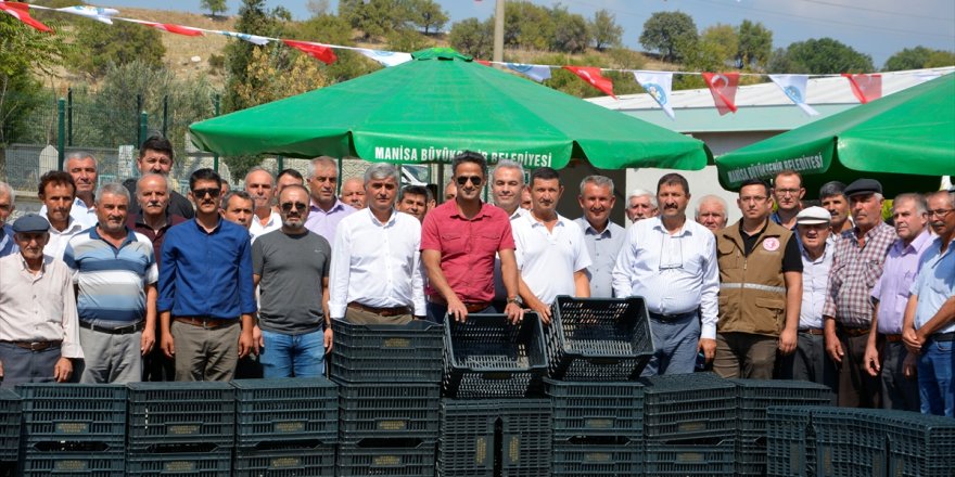 Demirci'de zeytin üreticisine kasa desteği