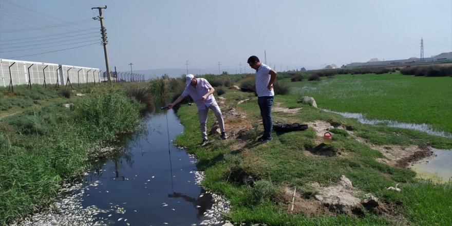 Söke'de balık ölümlerinin yaşandığı sulama kanalından numune alındı