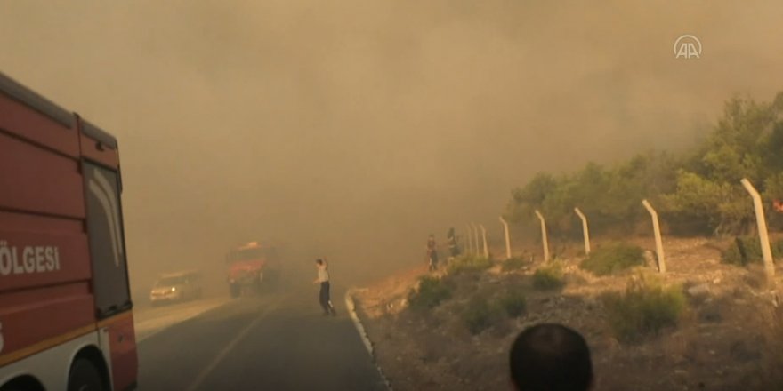 Orman yangını: Mersin-Antalya kara yolu trafiğe kapatıldı
