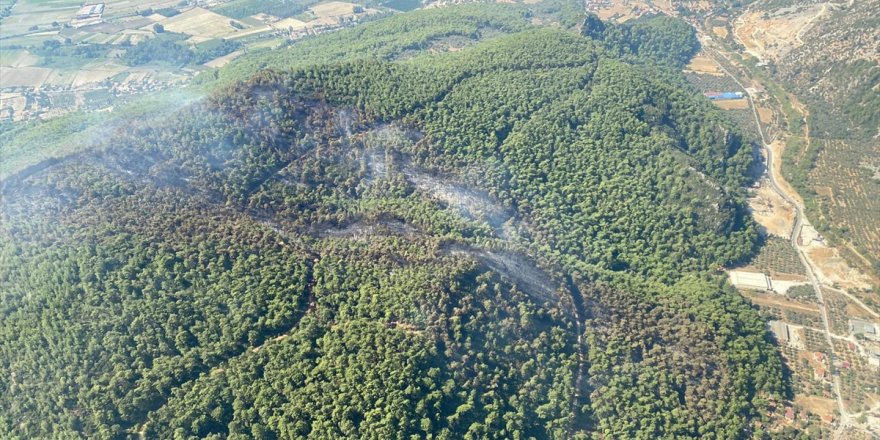 Muğla'daki orman yangını kontrol altına alındı