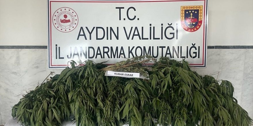 Aydın'daki uyuşturucu operasyonlarında 7 kişi tutuklandı