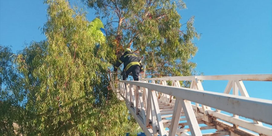 Fethiye'de yamaç paraşütü ağaca dolanan kişi kurtarıldı