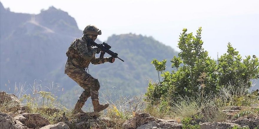 Fırat Kalkanı ve Barış Pınarı bölgelerinde 10 PKK/YPG'li terörist etkisiz hale getirildi