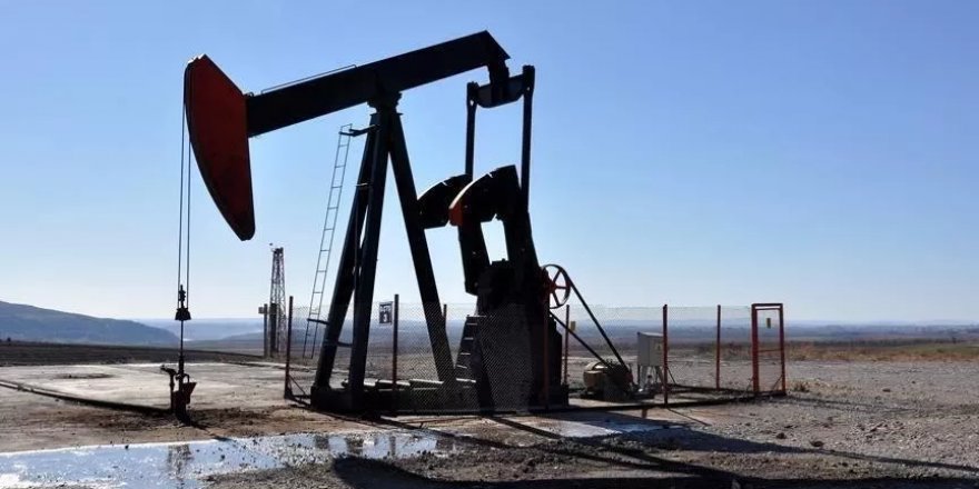 Putin: OPEC+ grubunun kararı, herhangi bir ülkeye karşı alınmadı