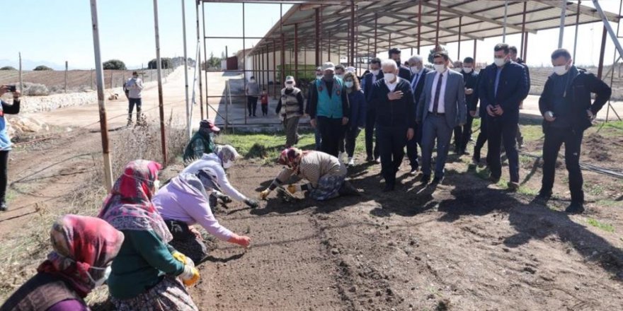 Binali Yıldırım, önce lavanta dikti ardından 4 leylek ve 1 şahini doğal yaşam alanına bıraktı