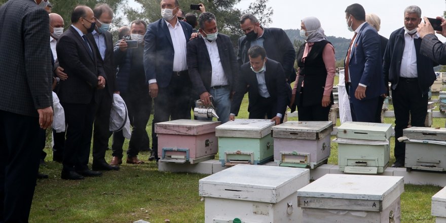 İzmir'de 100 Roman kadına, 1000 arı kovanı hibe edildi