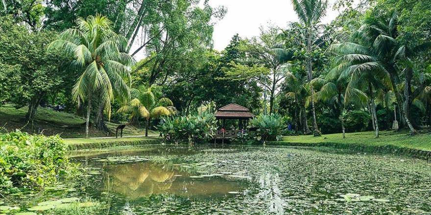 Kuala Lumpur'un kalbindeki yaşam parkı: Perdana Botanik Bahçeleri