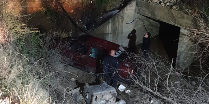 Aydın'da devrilen otomobilin sürücüsü hayatını kaybetti