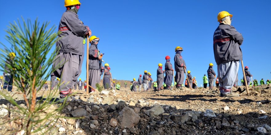 Kütahya’da terkedilen maden sahasında fidan dikimi yapıldı