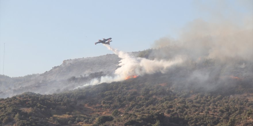 Aydın'da makilik alanda çıkan yangın kontrol altına alındı